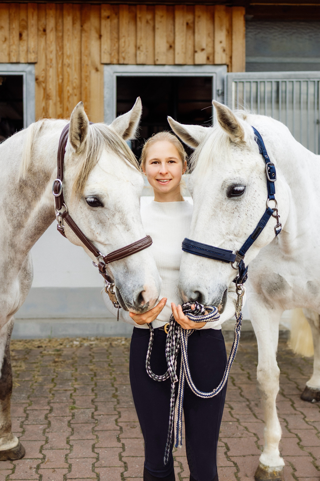Wiebke Graul – Pferdeosteopathie