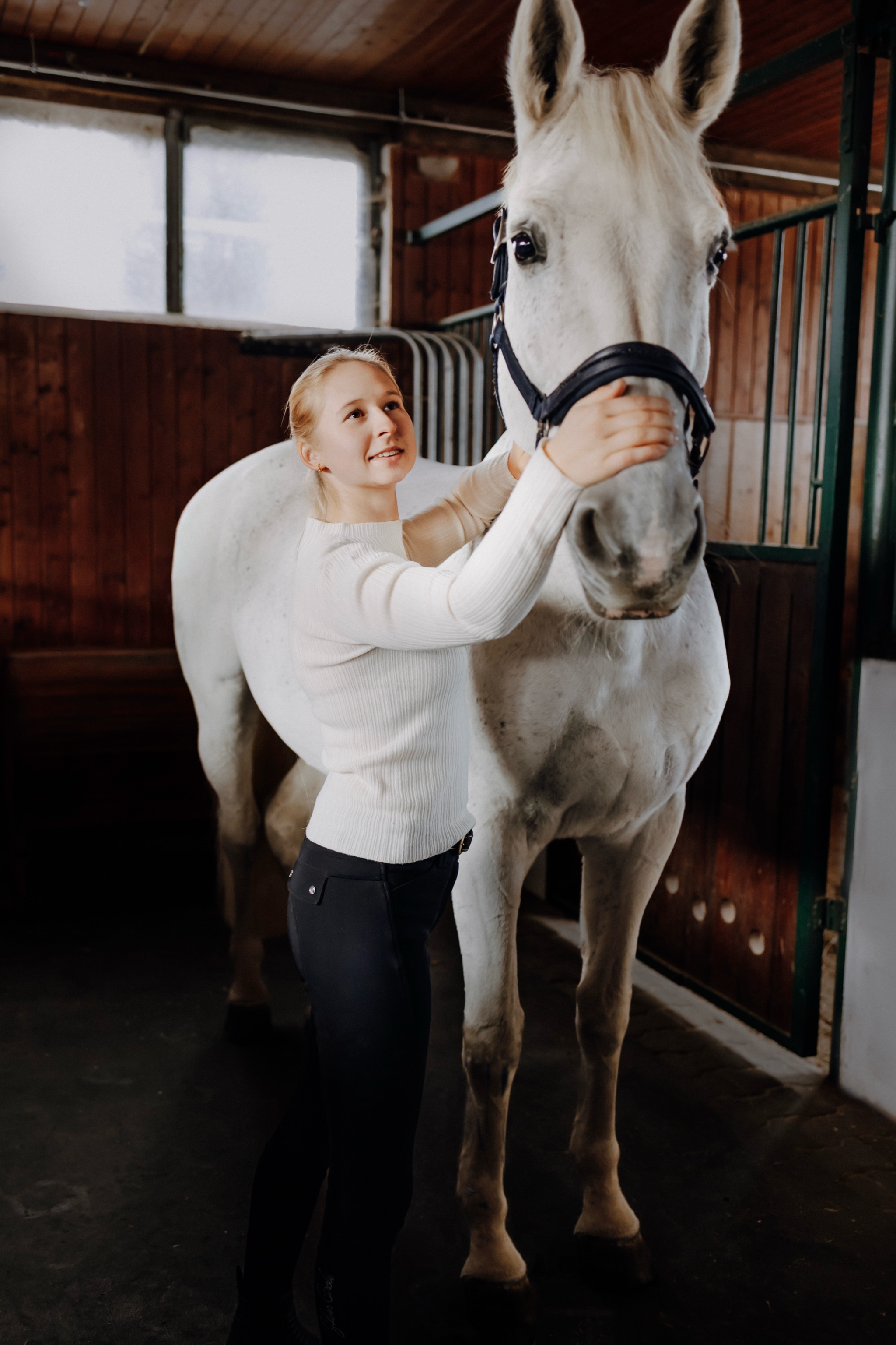 Wiebke Graul – Pferdeosteopathie