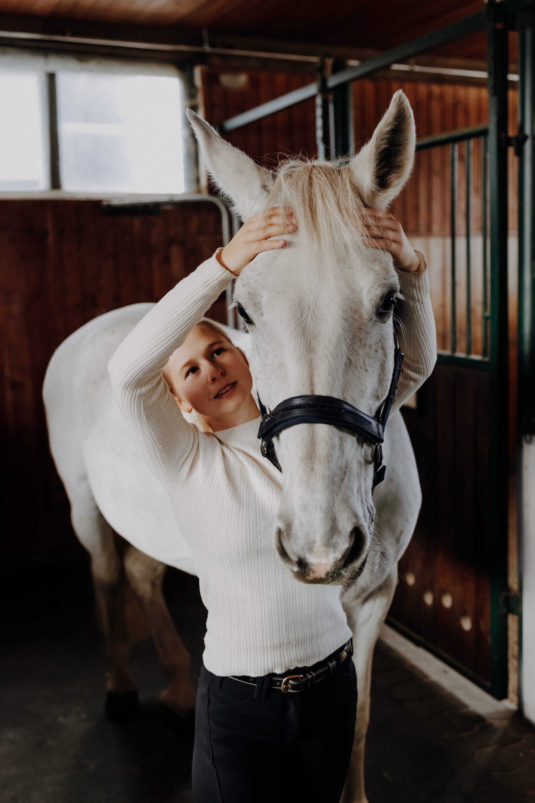 Wiebke Graul – Pferdeosteopathie