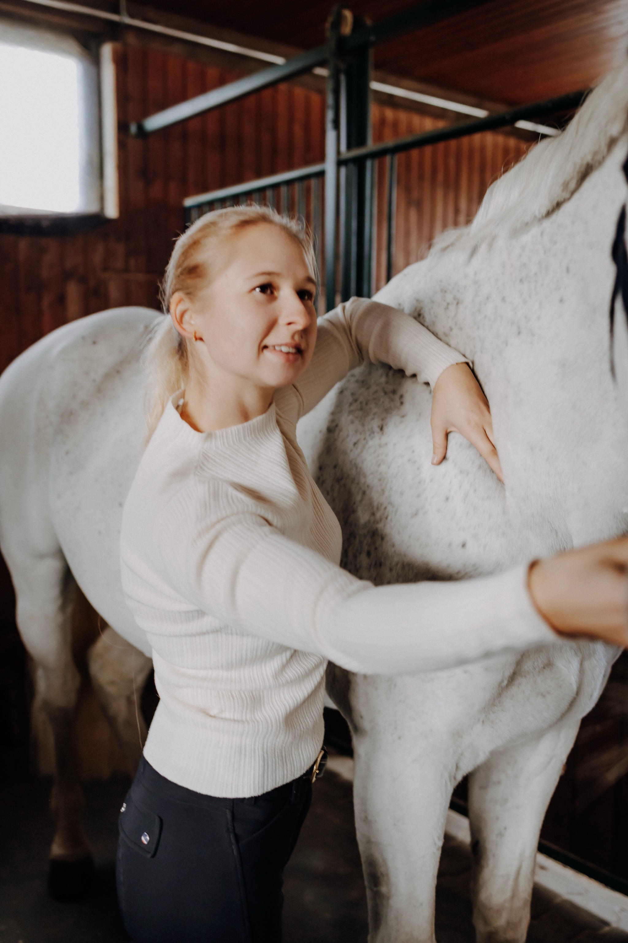 Pferd in Bewegung – osteopathische Arbeit